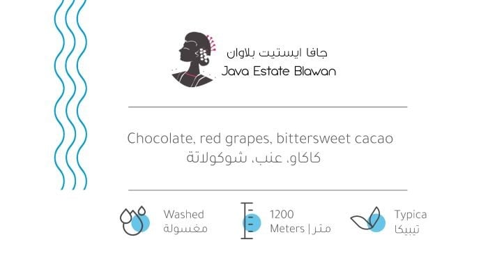 قهوة جافا ايستيت بلاوان 907g بيت التحميص