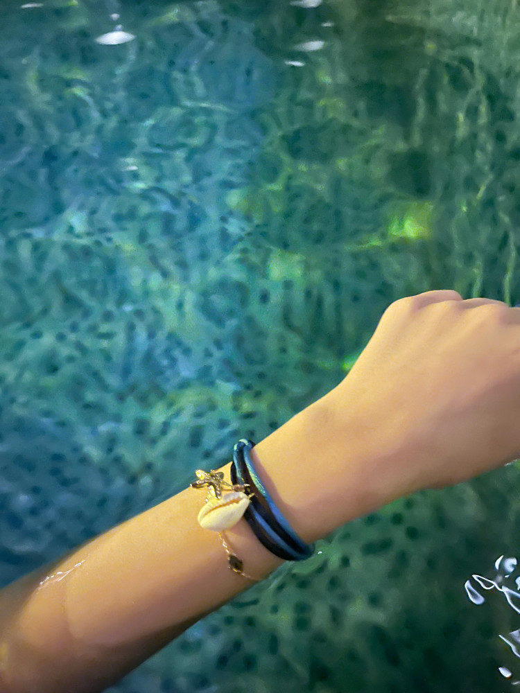 اسوارة ocean