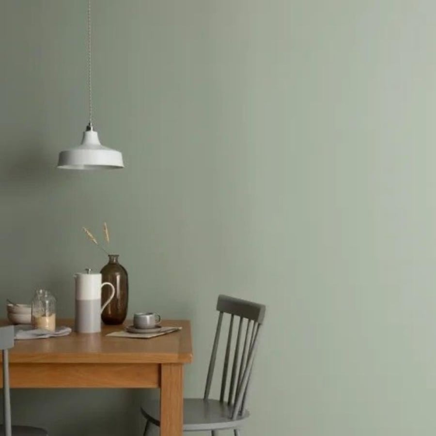 أخضر ناعم (Soft Green)
