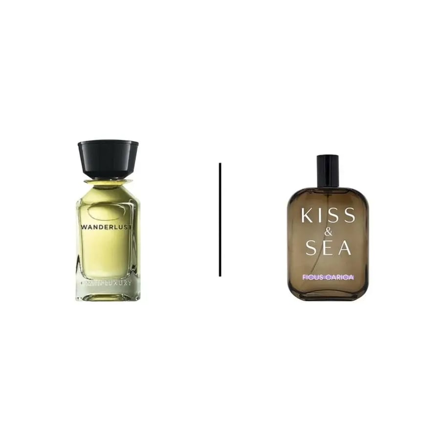 عطر صمام كيس اند سي فيكوس كاريكا او دو بارفيوم 100مل