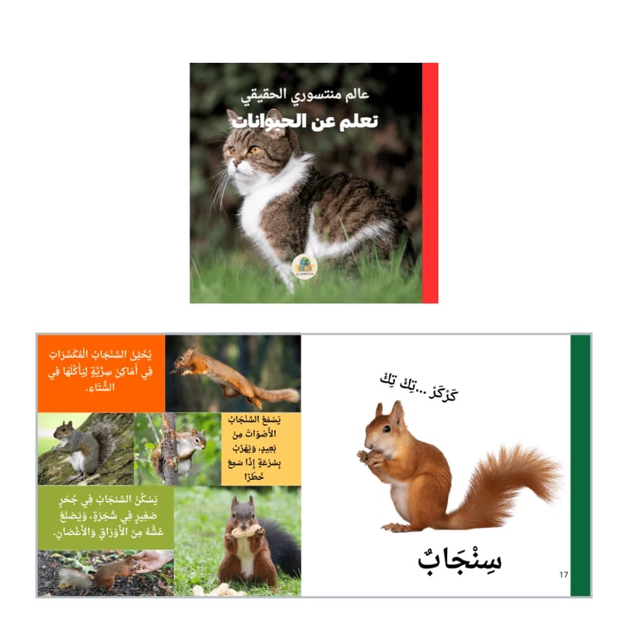 مجموعة عالم منتسوري الحقيقي - مهارات
