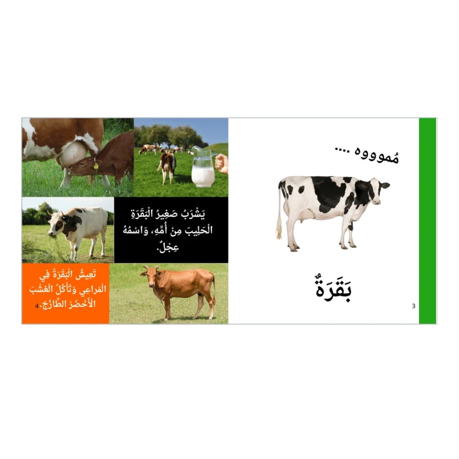 عالم منتسوري الحقيقي - تعلم عن الحيوانات