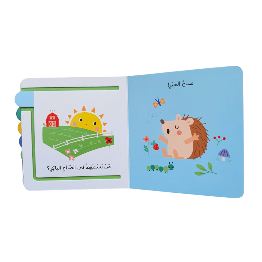 خلف كل صفحة مفاجأة! (اختر العنوان)