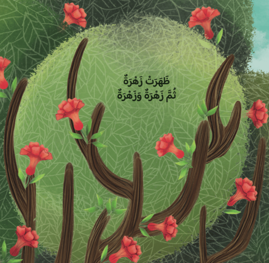 بذرة فشجرة