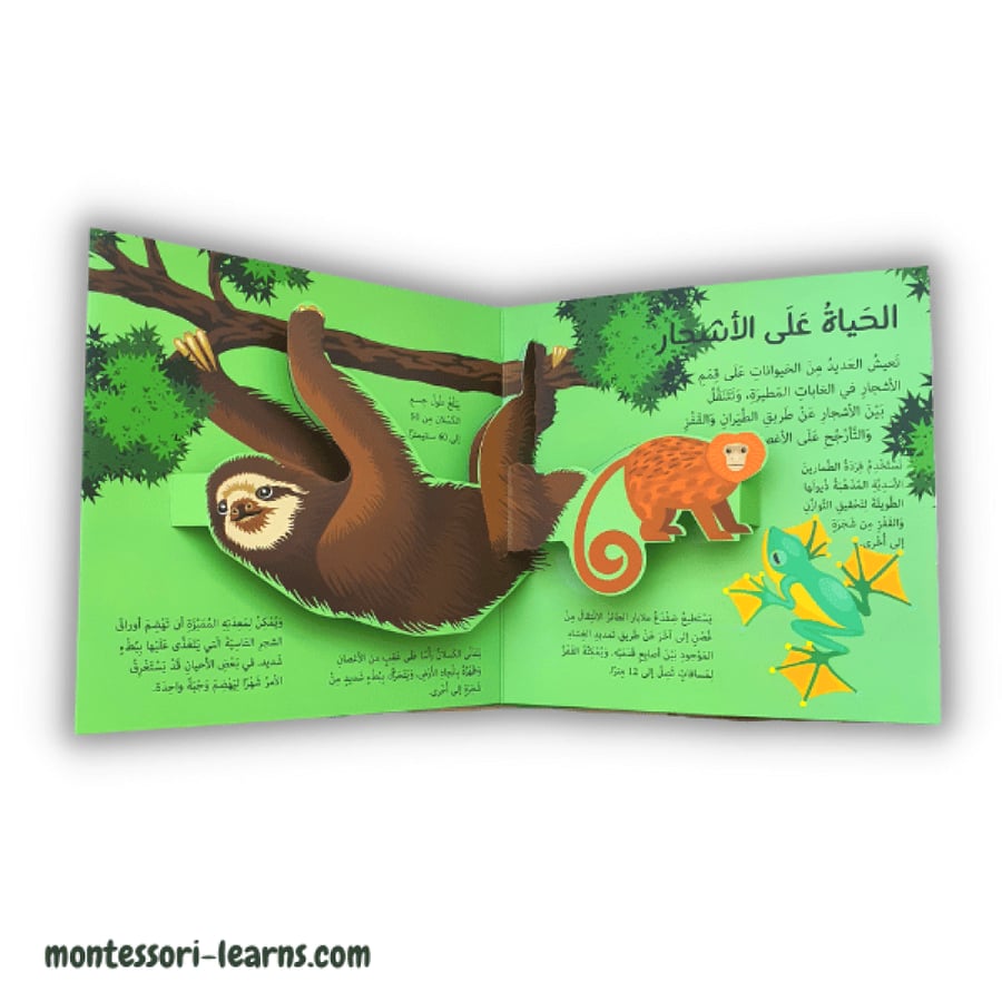كتاب الغابة ثلاثي أبعاد