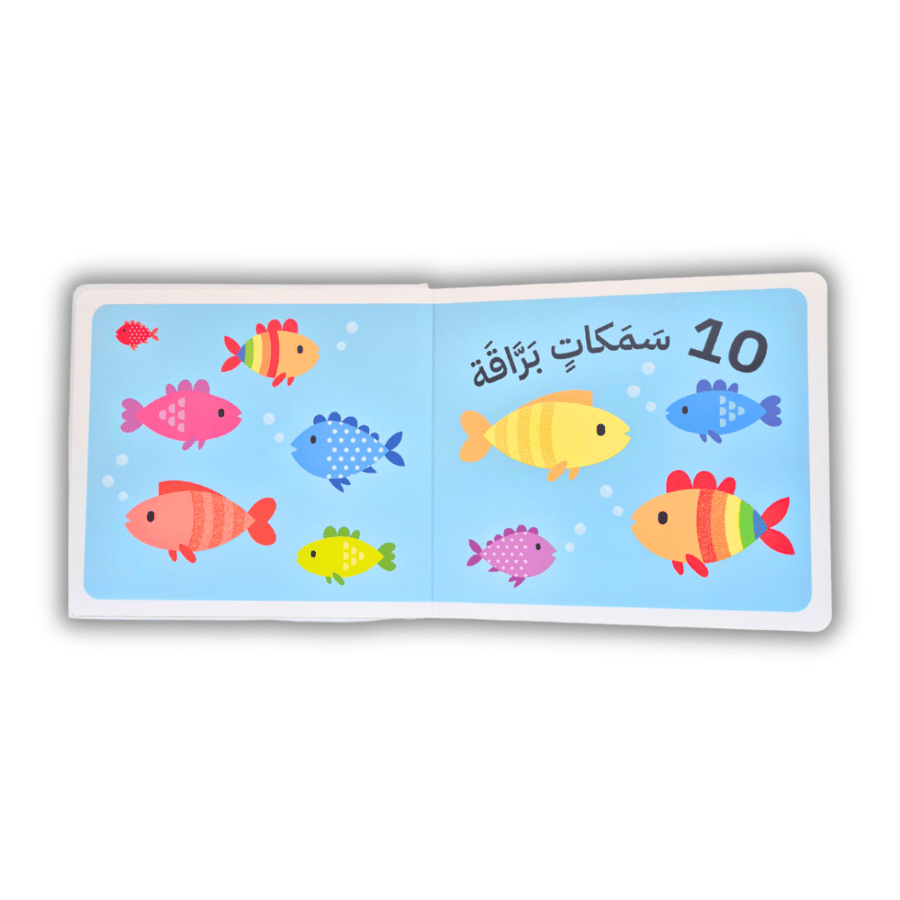 أرقامي الأولى (كتاب باللمس)