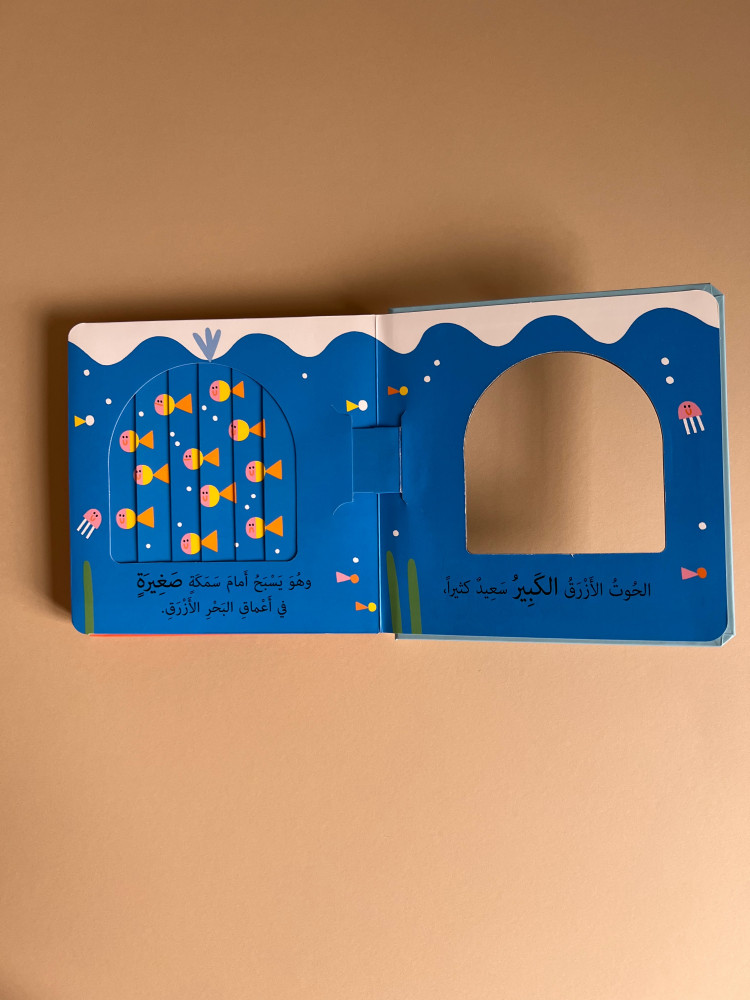 نوافذ ومفاجآت - كبير وصغير