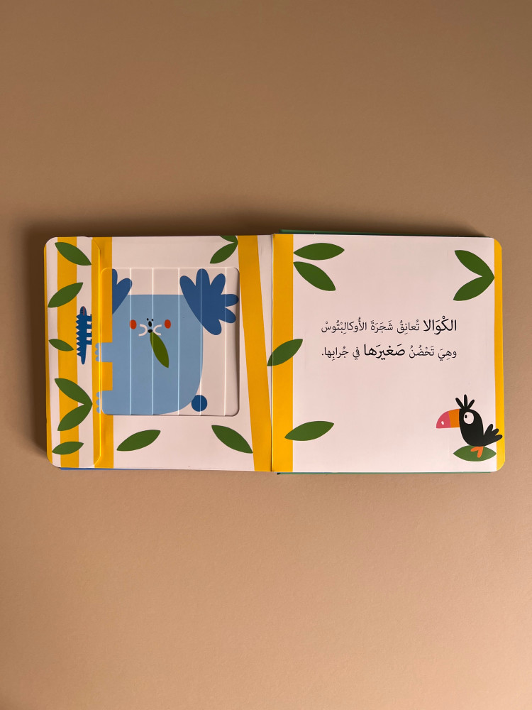 نوافذ ومفاجآت - صغار الحيوانات