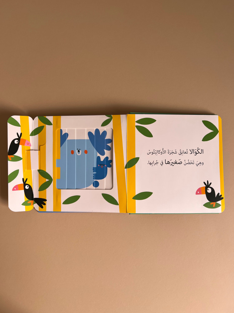 نوافذ ومفاجآت - صغار الحيوانات