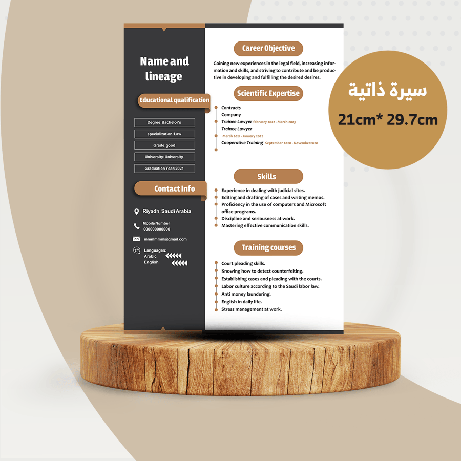 تصميم سيرة ذاتية باللغة الإنجليزية