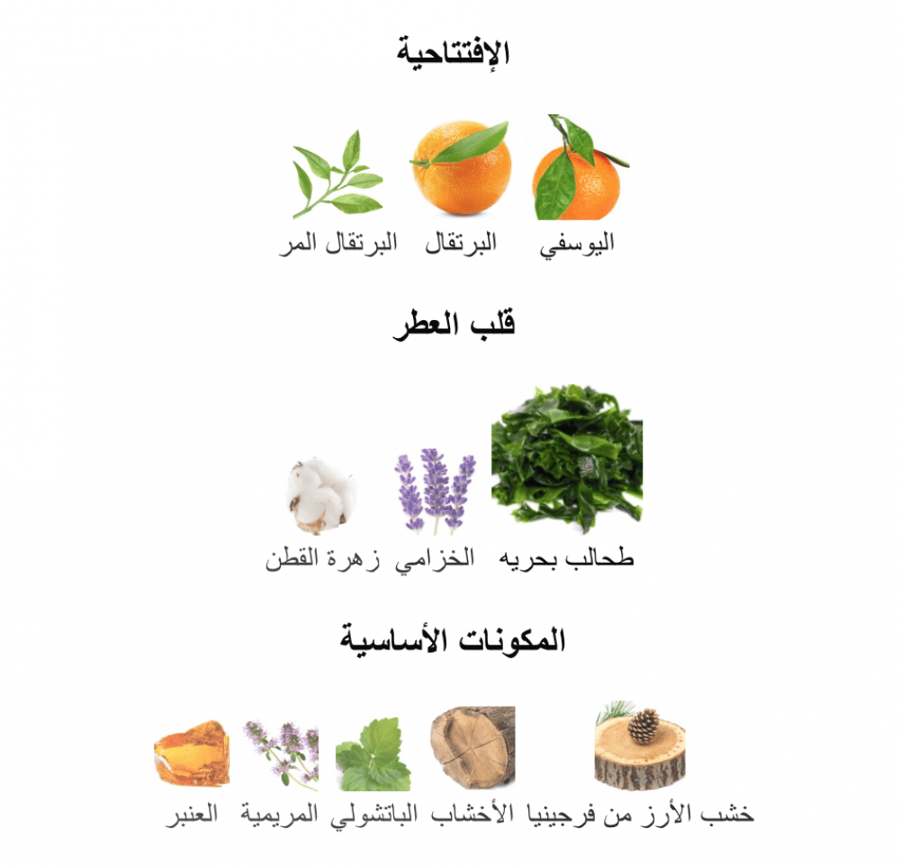 Aqva Pour homme - اقفا بور هوم