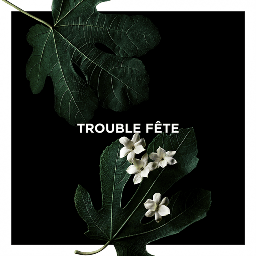 Trouble-fête - ترابل فيت
