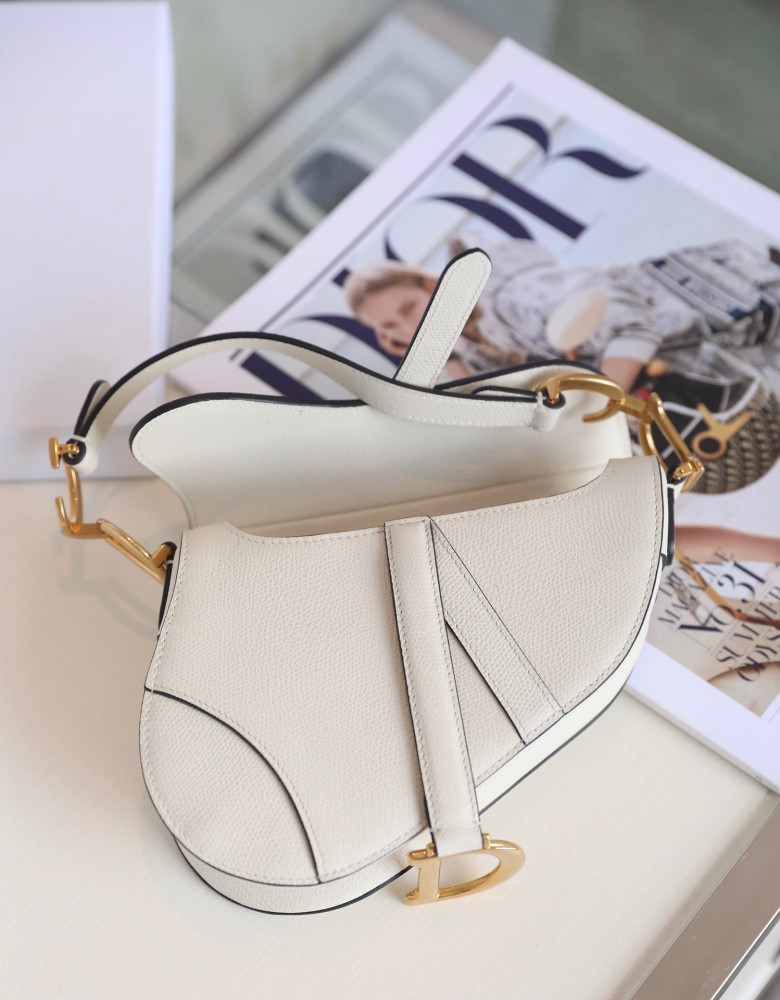 DIOR-Saddle bag