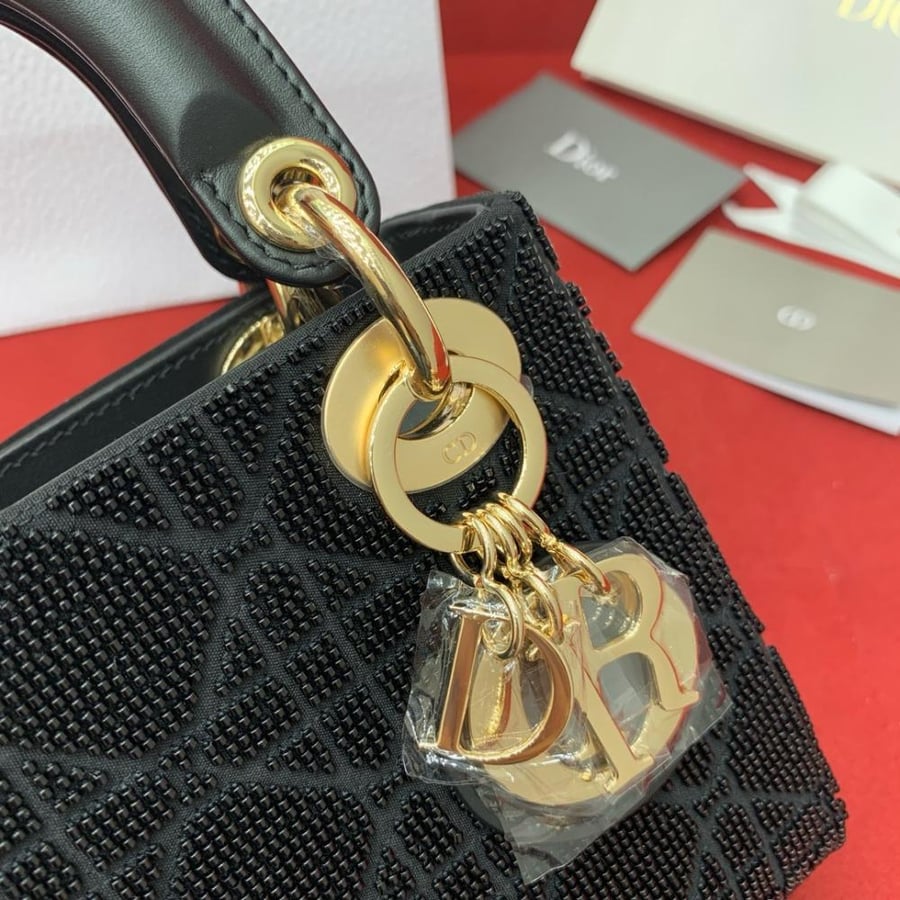 DIOR LADY