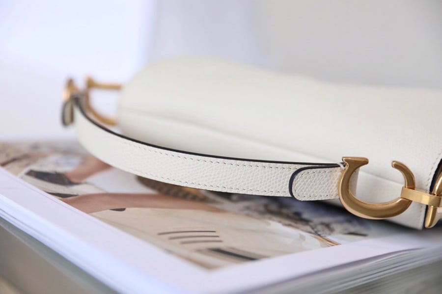 DIOR-Saddle bag