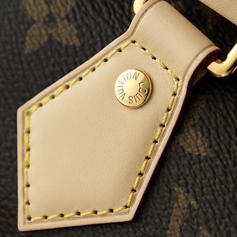 Louisvuitton-Speedy 20