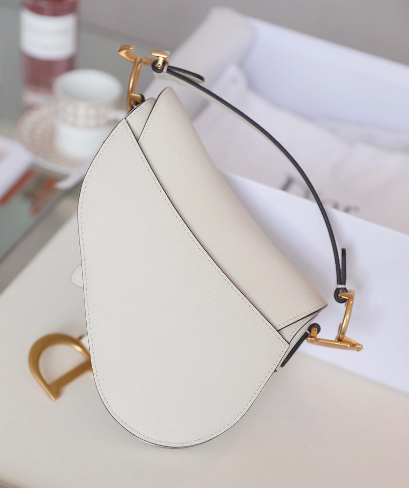 DIOR-Saddle bag