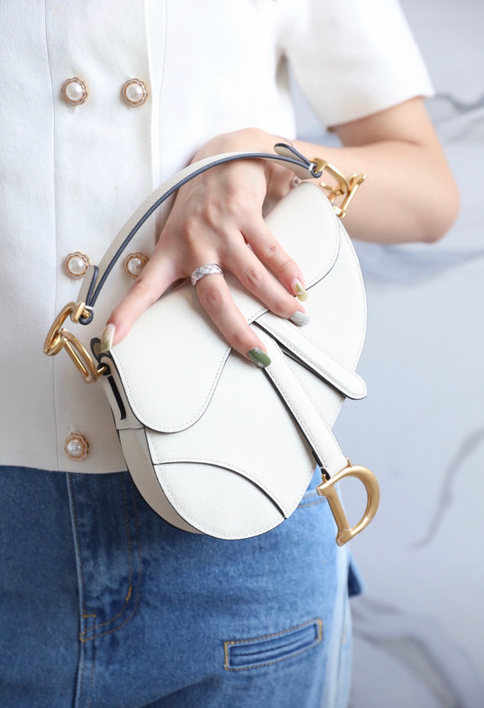 DIOR-Saddle bag