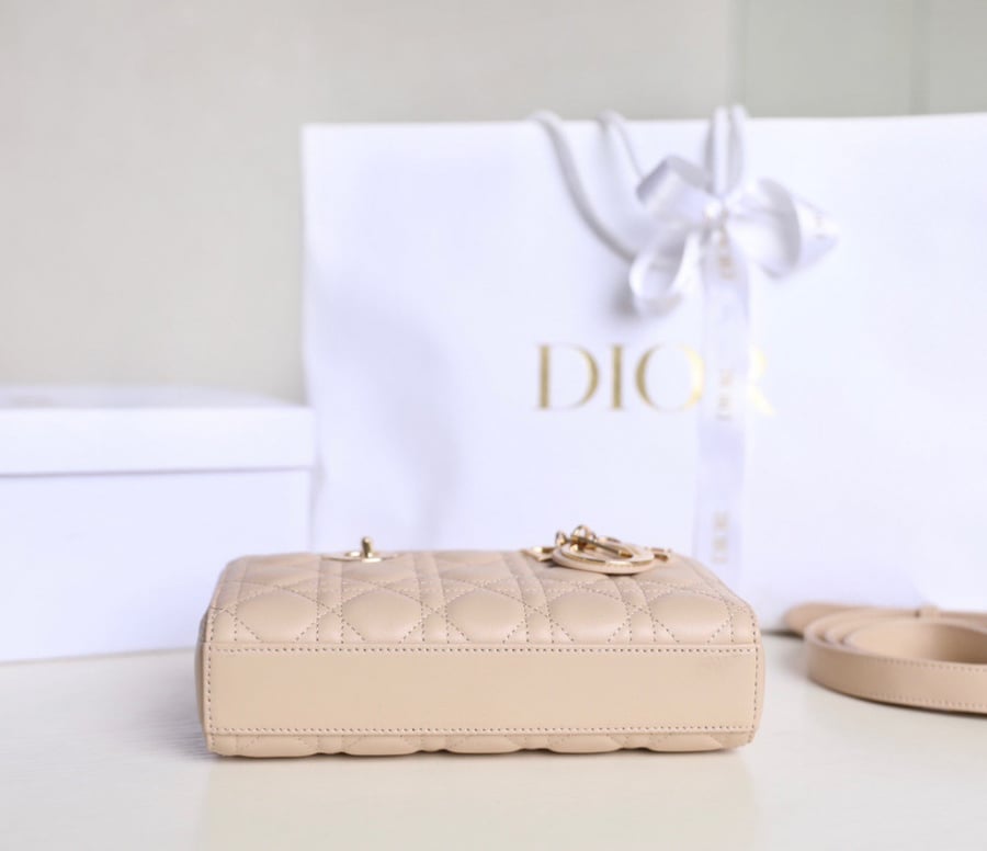 Dior lady joy