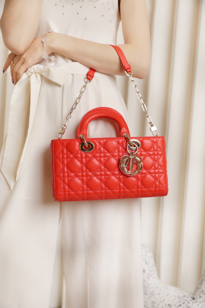 Dior lady joy