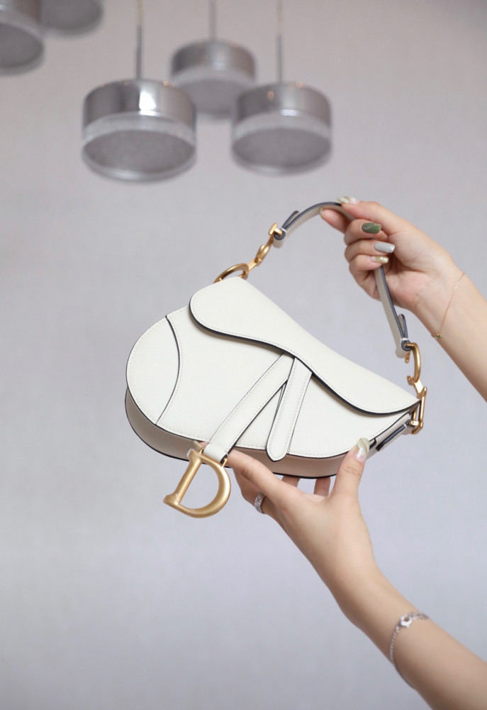 DIOR-Saddle bag