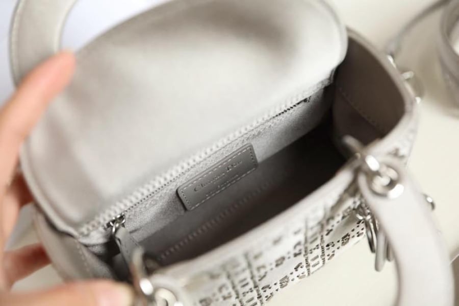 DIOR -lady 17 Mini