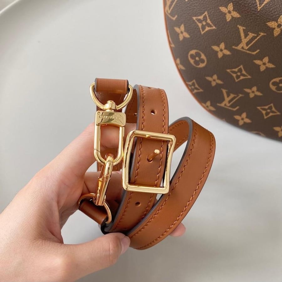 LOUISVUITTON- Loop Hobo