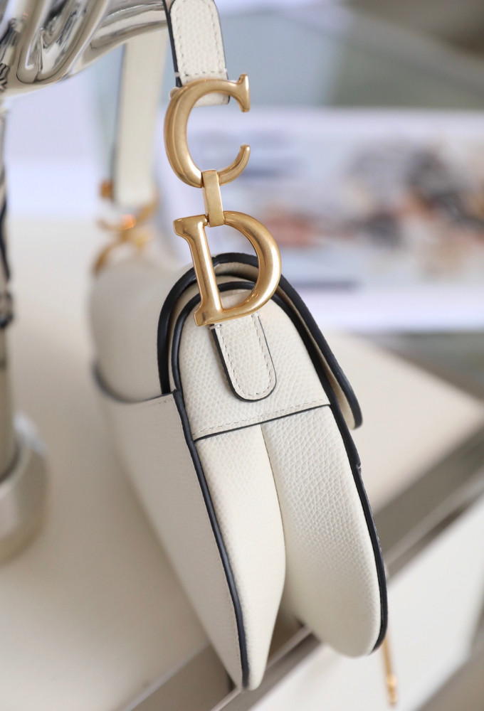 DIOR-Saddle bag