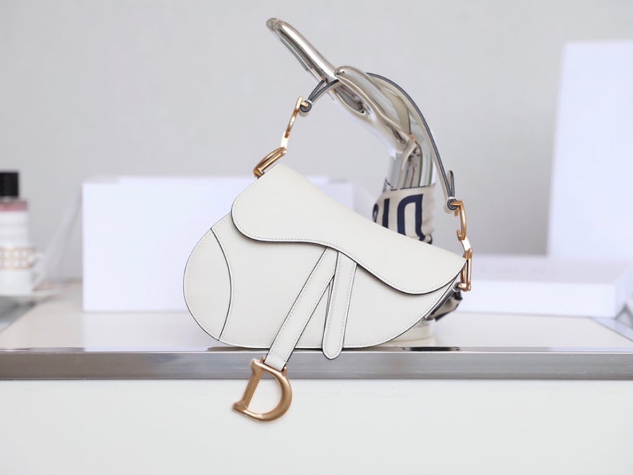 DIOR-Saddle bag