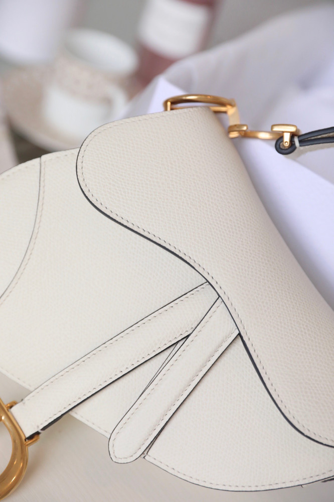 DIOR-Saddle bag