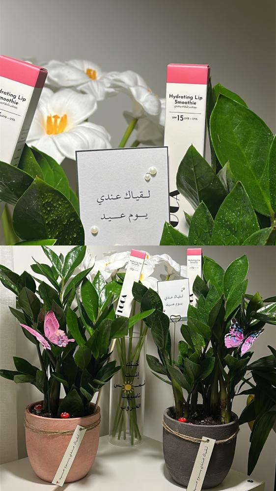 زاميا ( نبته العيد المميزة )