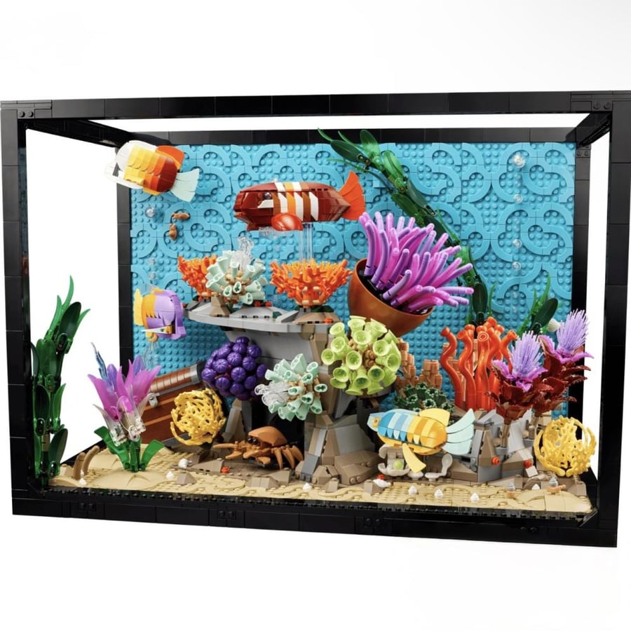 Tropical Aquarium