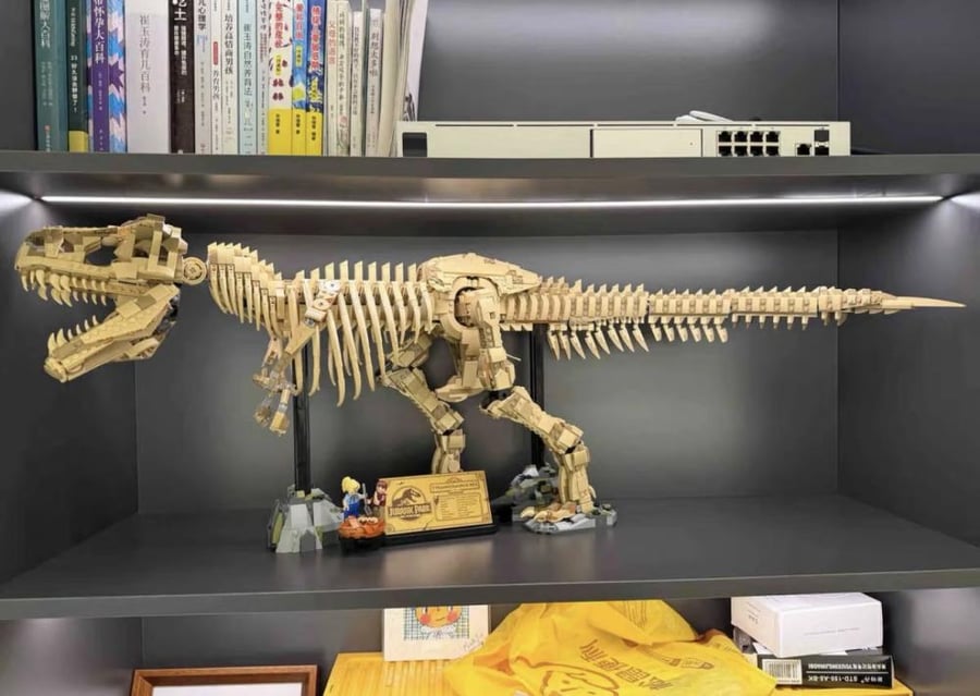 Dinosaur Fossils: Tyrannosaurus rex