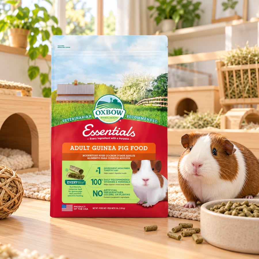 أوكسبو طعام الوبر بالبرسيم - متجر قطتي الجميلة - OXBOW Guinea Pig Food