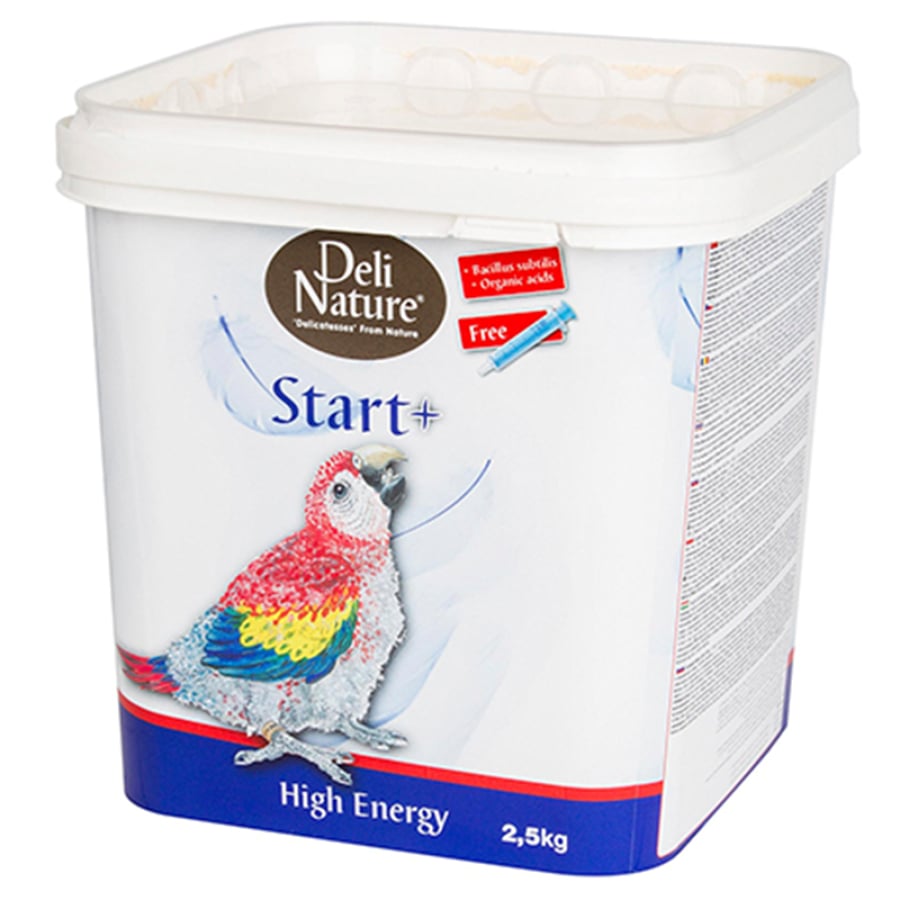 ديلي ناتشر سيريلاك ببغاء لغر الفروخ سيرلاك طيور Nature Start plus