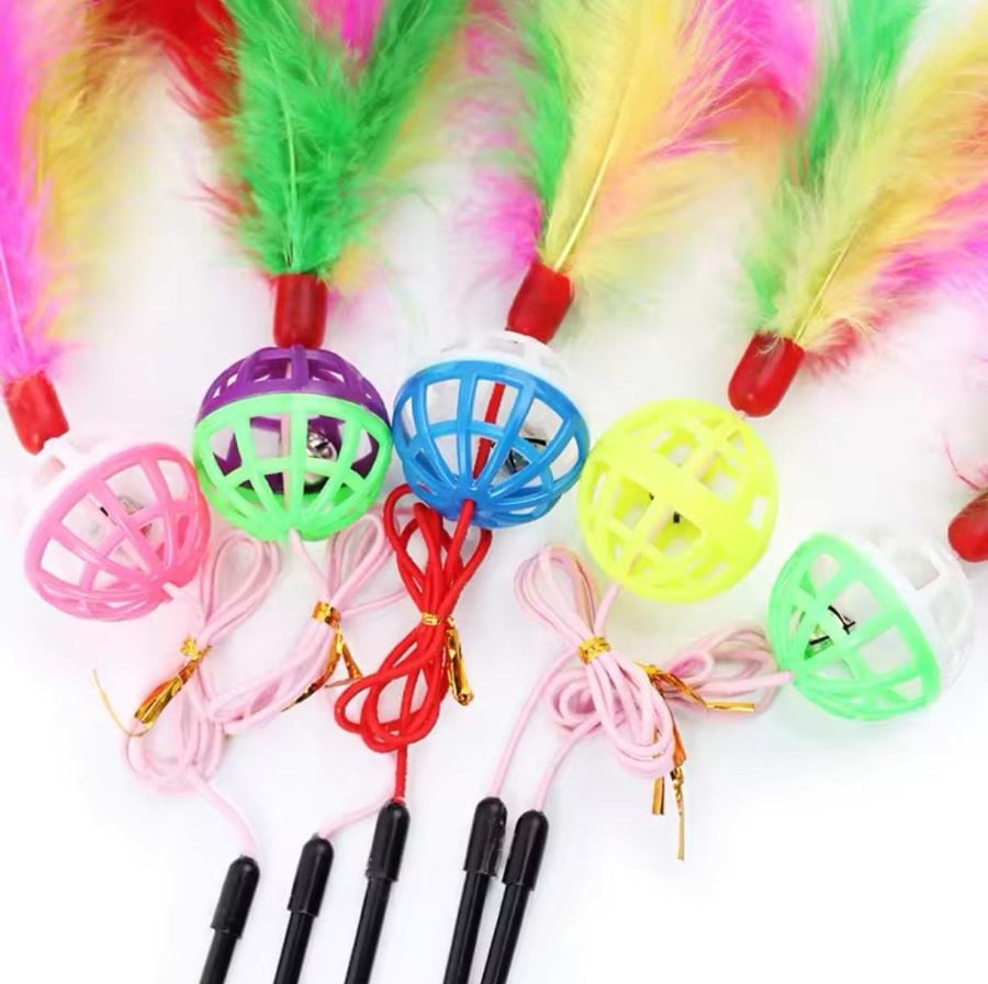 سنارة قطط العاب قطط ترفيه القطط cat stick تجهيز بيت القطط تربية القطط