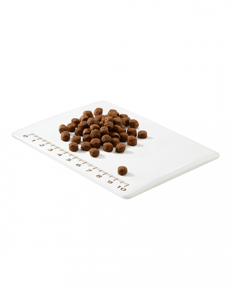 شيزر طعام جاف للقطط المعقمة بالبط 1,4كيلو جرام Schesir Dry Food For Sterilized Cats Duck 1,4kg