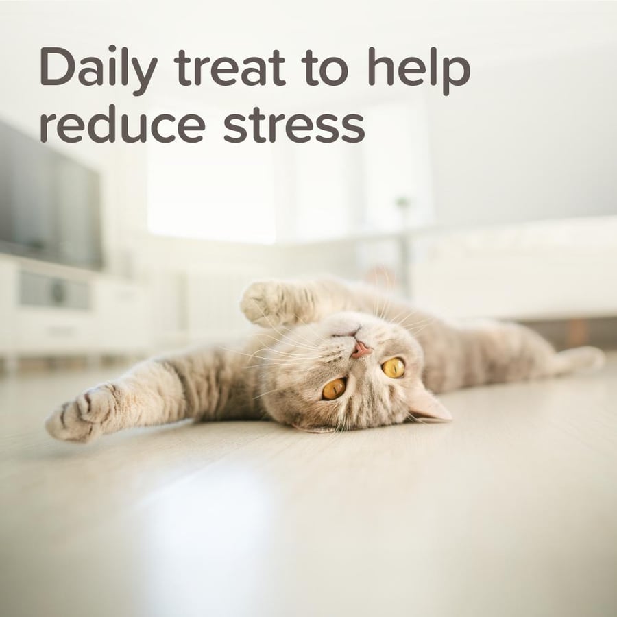 بيفار مكافآت لتخفيف توتر القطط والتوقف عن الخدش Beaphar Calming Treats