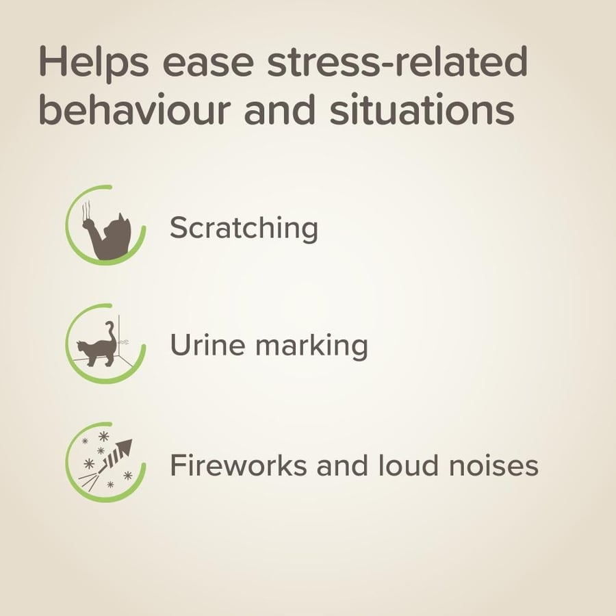 بيفار مكافآت لتخفيف توتر القطط والتوقف عن الخدش Beaphar Calming Treats