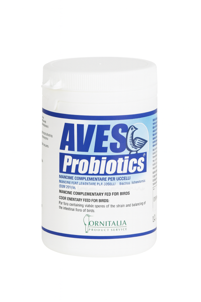 Aves Probiotic هو مكمل غذائي مصمم لتحسين صحة الجهاز الهضمي والمناعة