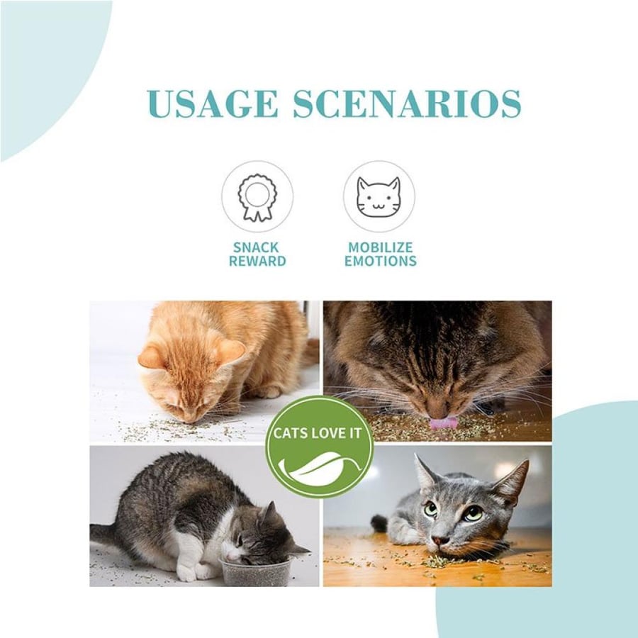بايولاين أوراق النعناع البري - كاتنيب BioLone Catnip Leaves