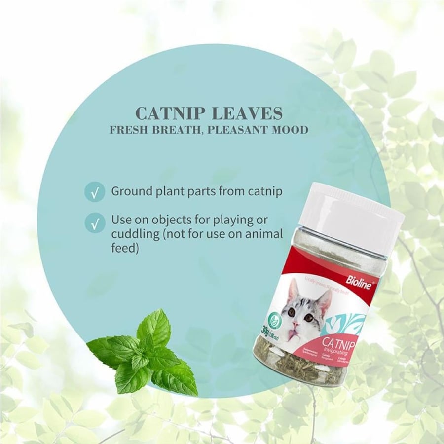 بايولاين أوراق النعناع البري - كاتنيب BioLone Catnip Leaves