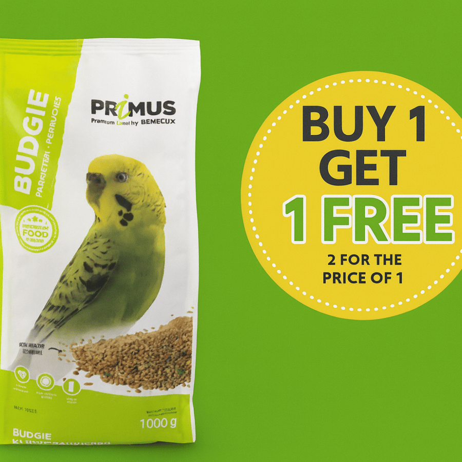 بينلوكس بريموس خليط مشكل من الحبوب للبادجي BENELUX PRIMUS Mixture  Food For Budgies
