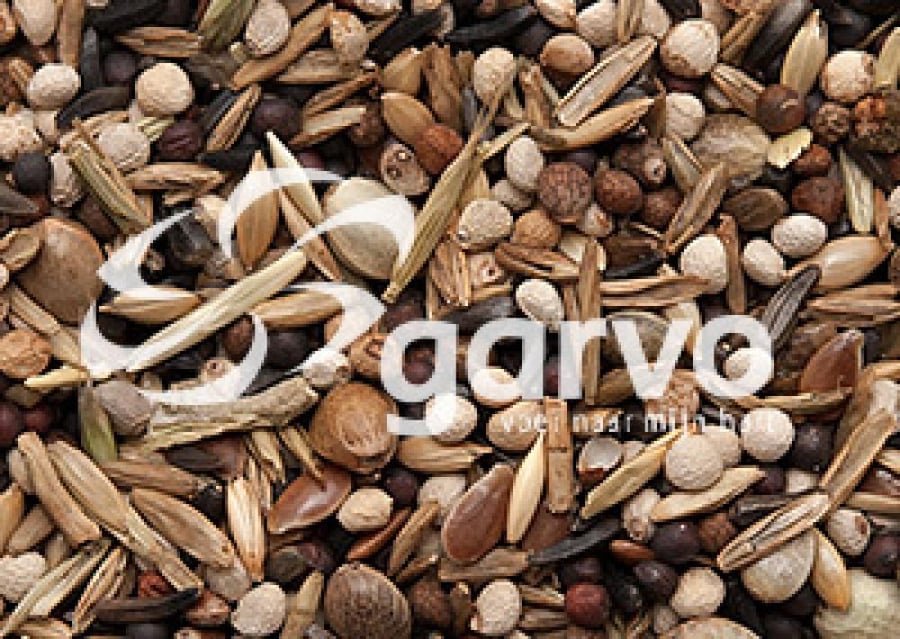 Garvo خلطة الحسون الأوروبي والسيسكين مع بذور الشوك  European Goldfinc