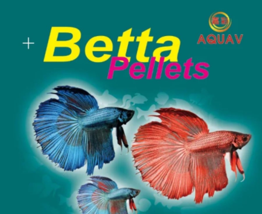 طعام سمك الفايتر اكل سمك الفايتر AQUAV BETTA Pellets متجر قطتي الجميلة