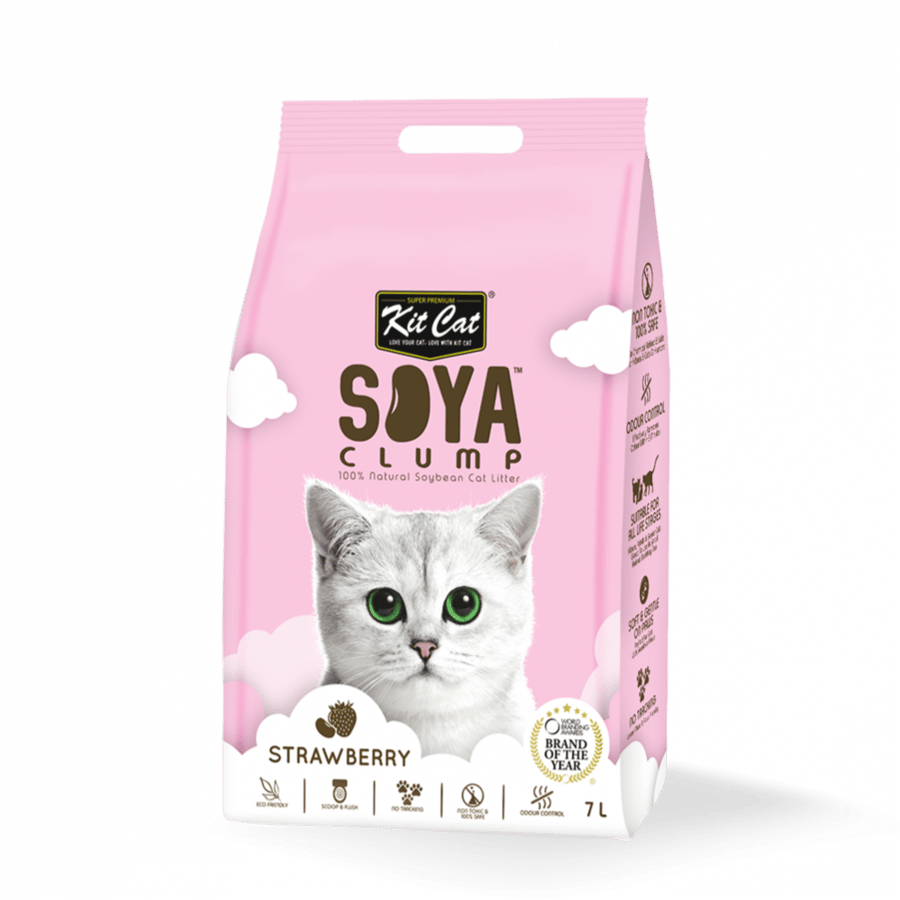 كت كات رمل الصويا رائحة الفراولة KITCAT SOYA CLUMP - متجر قطتي الجميلة