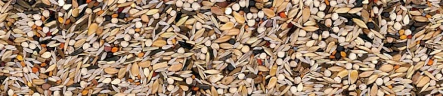 مانيتوبا اكل الحسون خليط من البذور Manitoba Carduelidi Mixture Seed