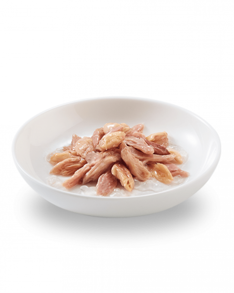 شيزر 6 معلبات التونا مع السالمون للقطط Schesir Tuna Salmon Fillet 6x50