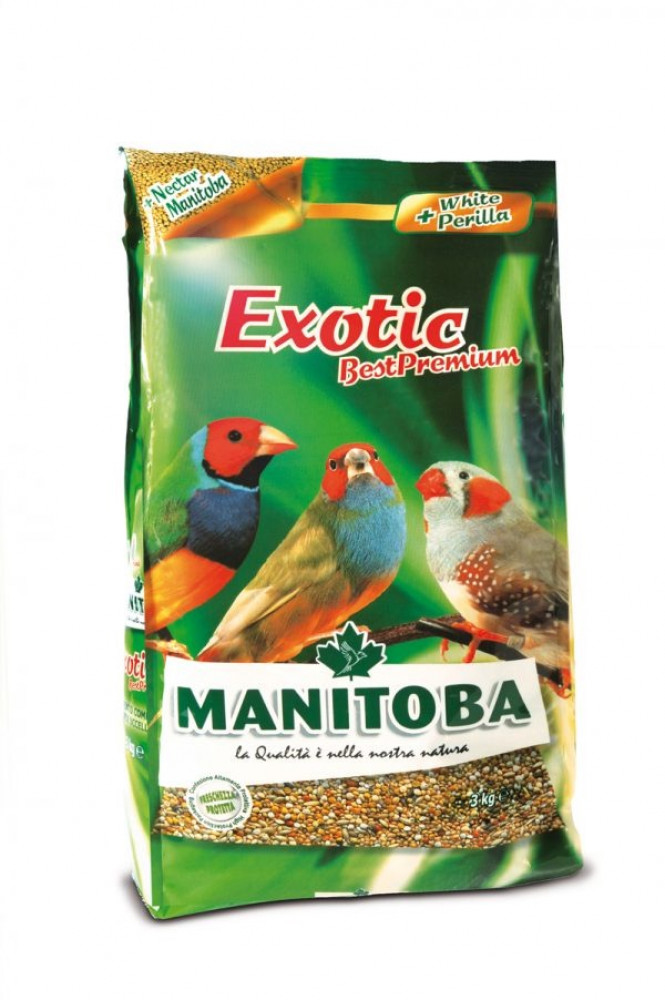 مانيتوبا اكل الزيبرا خليط مشكل من البذور Manitoba Exotic Best Premium