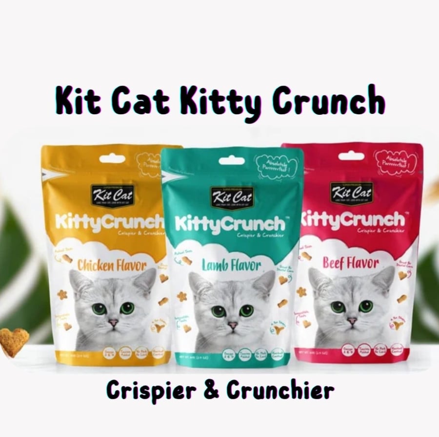 مكافآت قطط كت كات كيتي كرنش KittyCrunch cat Treat متجر قطتي الجميلة